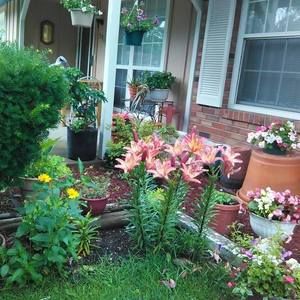 Meet your Posher, Bertha